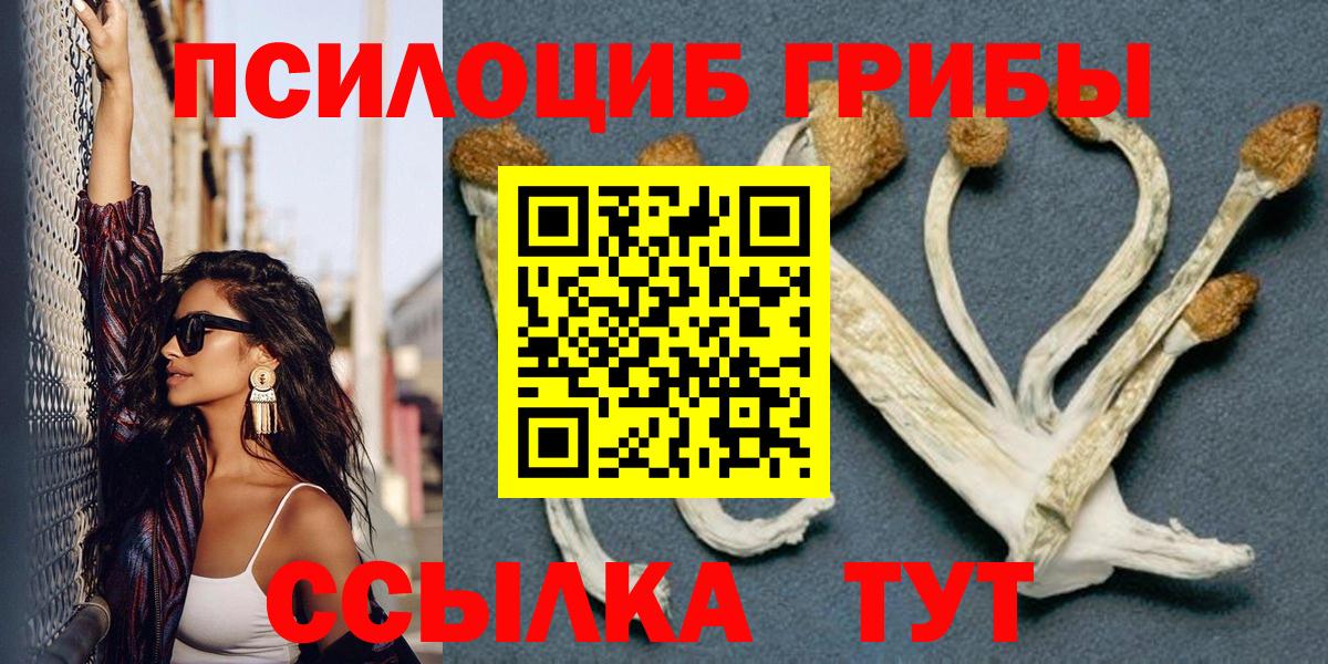 Тамбов  Галлюциногенные грибы мицелий  Вход с VPN 